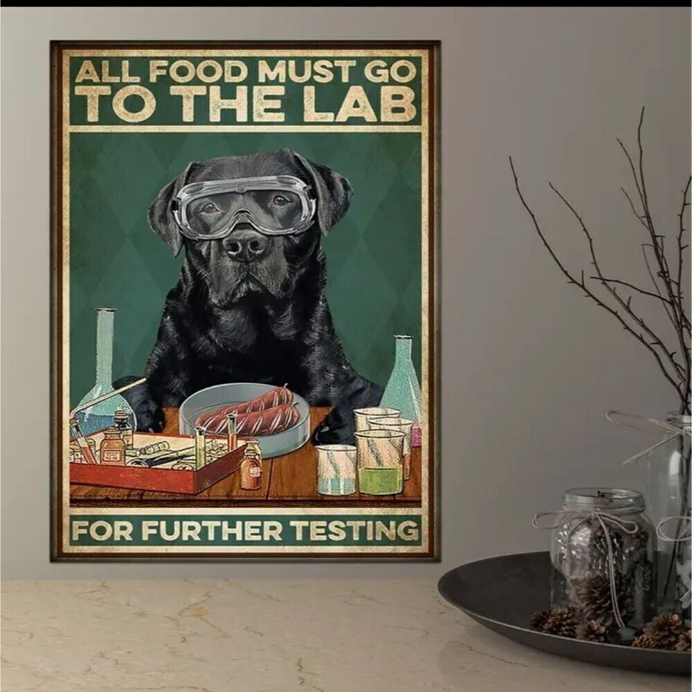 funny Labrador dog canvas poster